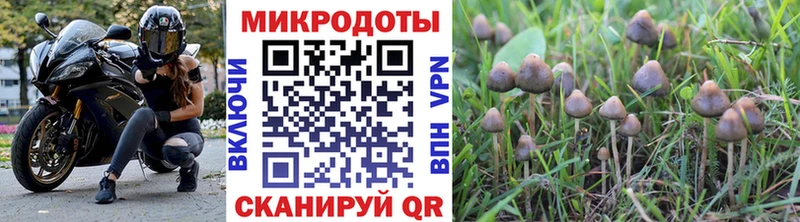 Псилоцибиновые грибы MAGIC MUSHROOMS Солигалич