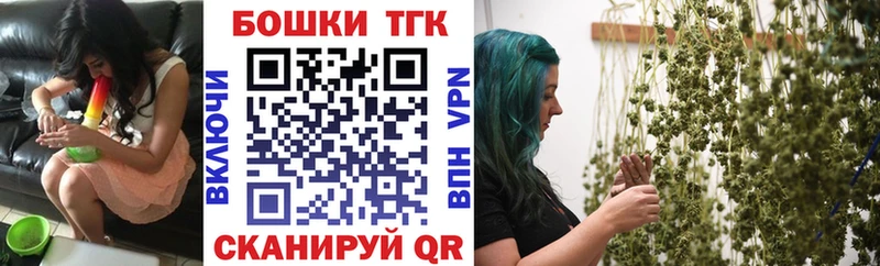 закладка  Солигалич  Бошки Шишки планчик 
